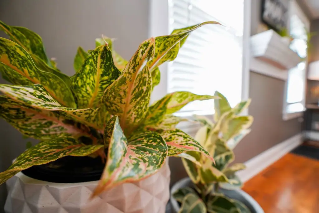 094a4d12 e18d 427b a5cc 20315e15be5b.jpg