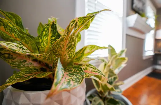 094a4d12 e18d 427b a5cc 20315e15be5b.jpg