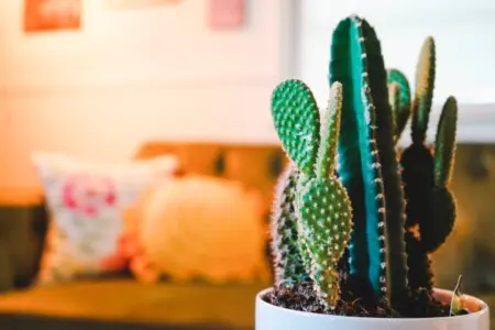 09aa4fb3 ba08 401c 9eda f1ef6f4b0e50.jpg