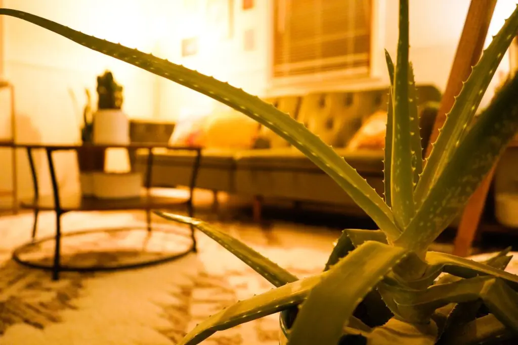 11d94489 3474 4b6c 9d39 7e85da01c602.jpg