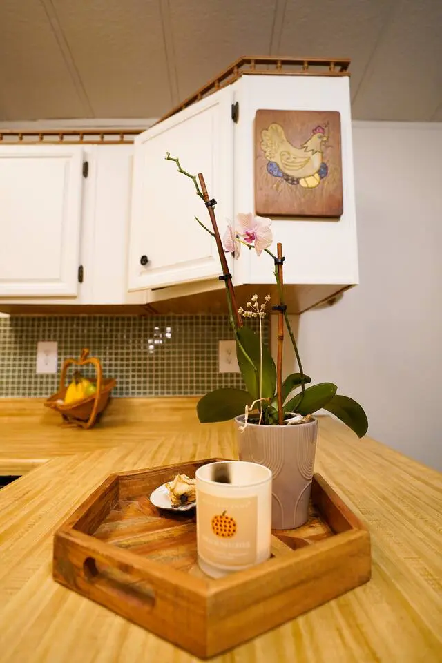 15b0358b f2aa 475d 88d3 18c85fe4065b.jpg