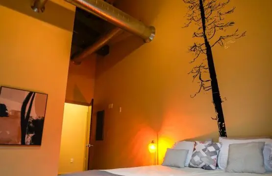 18f5dfb4 a240 42b3 a0c5 18b87dafbf28.jpg