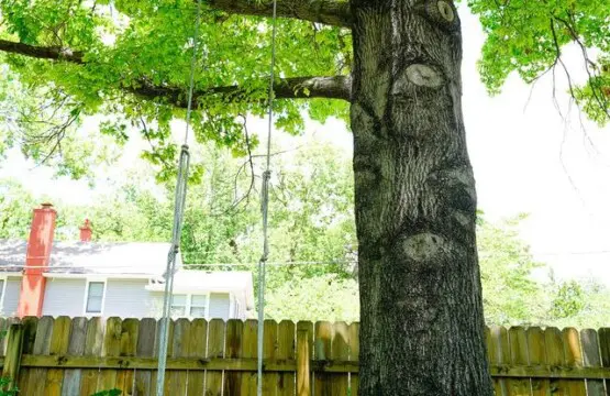 1aa62baf 5251 41b5 a28e 0d37b5c86e2a.jpg