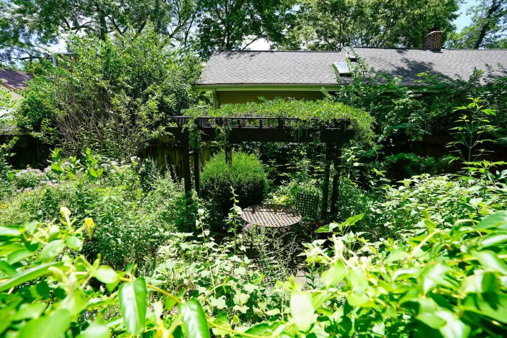 25f9b621 589b 4f2d b8d6 16b25f98fa34.jpg