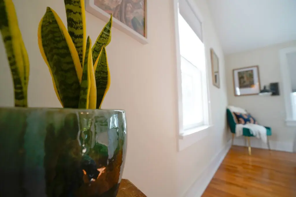 269ee64a 5e2c 4ca4 b03e a463df570611.jpg