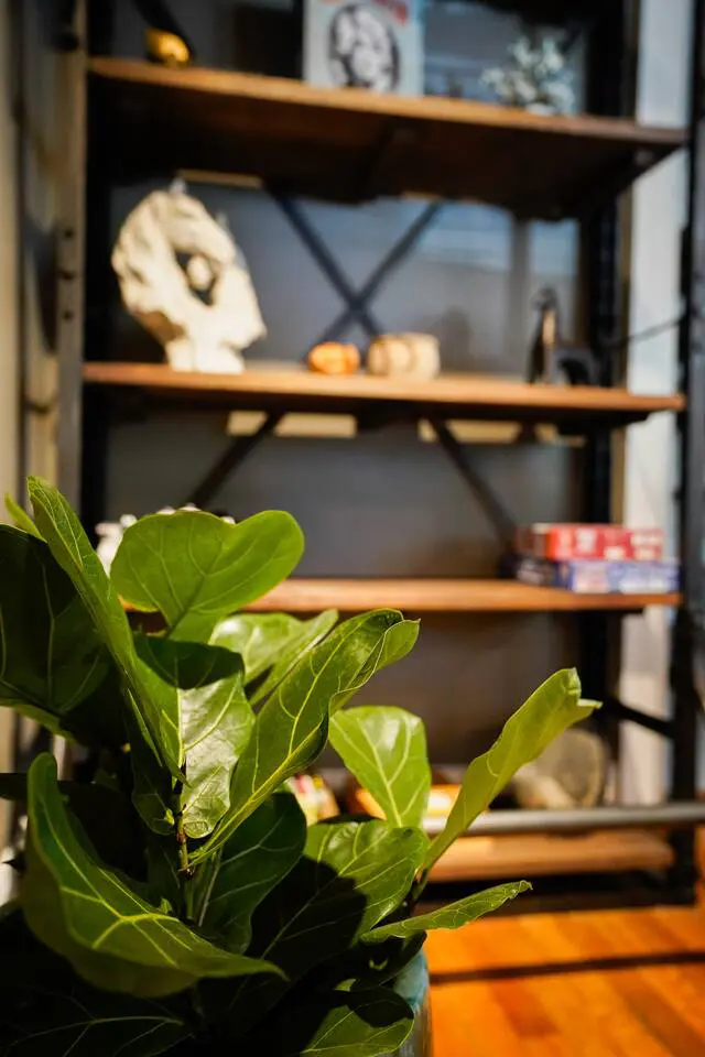 309931f5 ef8a 4258 a029 6497deef2d62.jpg