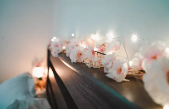 322bae64 a4d3 4826 ac17 f23585e2d124.jpg