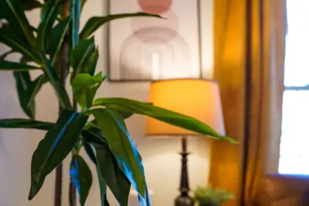 35ac1408 1fc9 497a bb5e a3a32b9ff87d.jpg