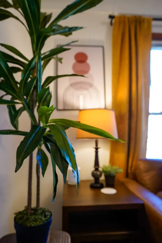 35ac1408 1fc9 497a bb5e a3a32b9ff87d.jpg