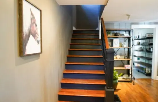 366da7fc 1dda 4202 b2de 52fdb389b744.jpg