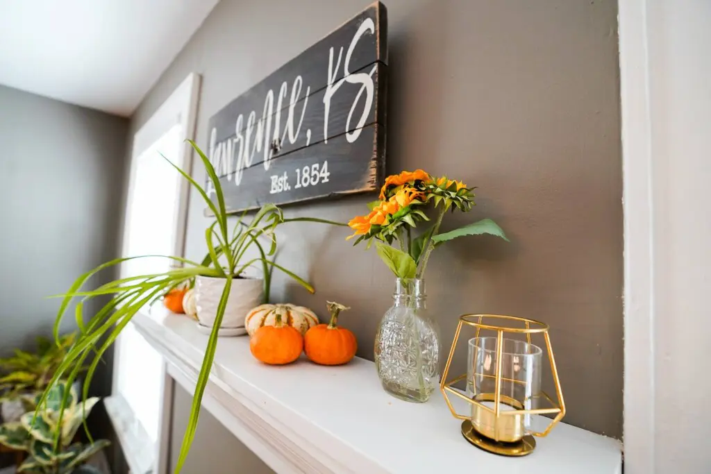 41101e84 8b63 4ef9 84e1 170678428d86.jpg