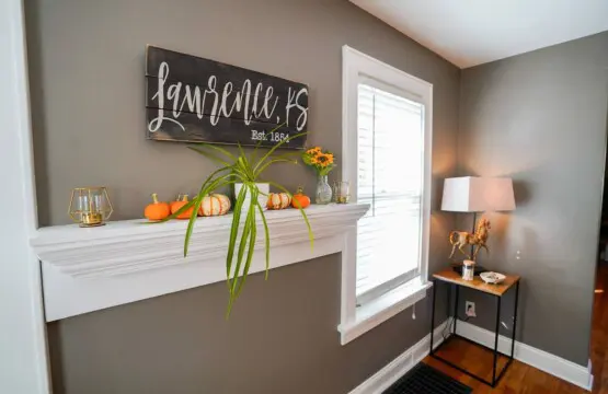 48021d69 28a6 42b2 8e46 8ffbee952525.jpg