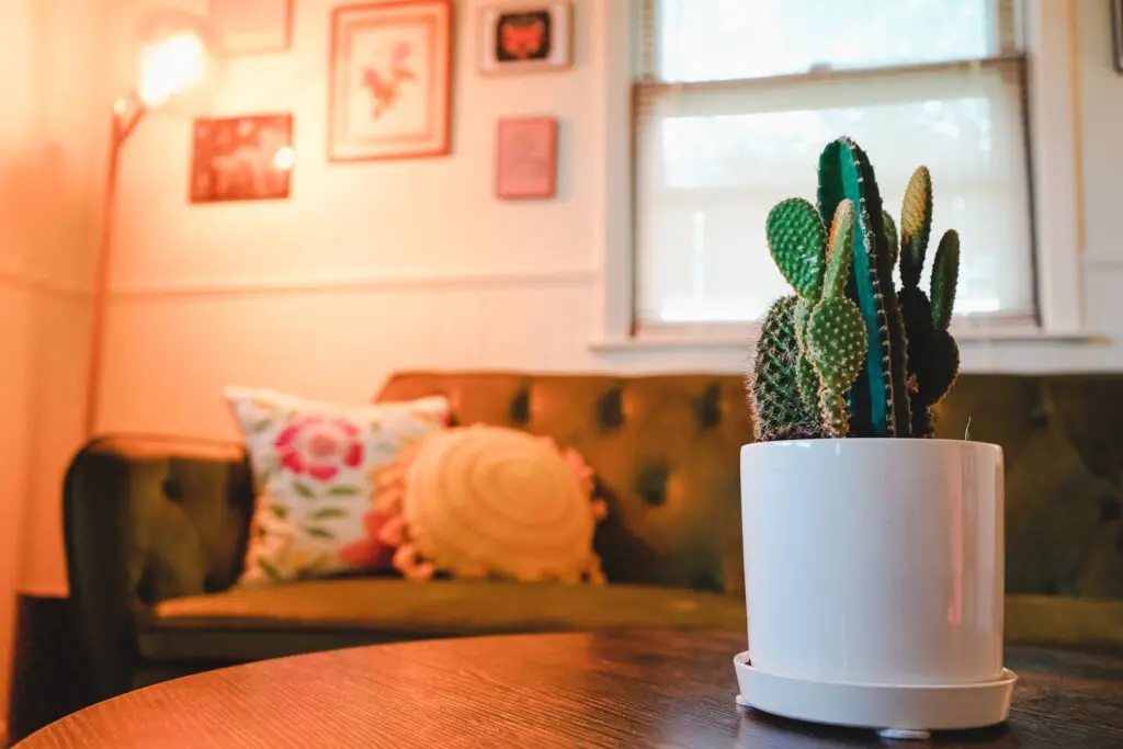 59fc4ab9 2b15 46ee 96ee c8ee9b4980c2.jpg