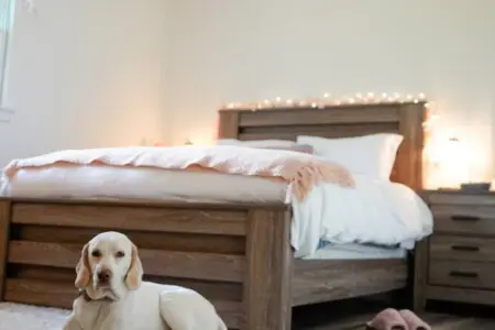 5b9481cd 1ea4 4855 8bd8 e769089db2f0.jpg