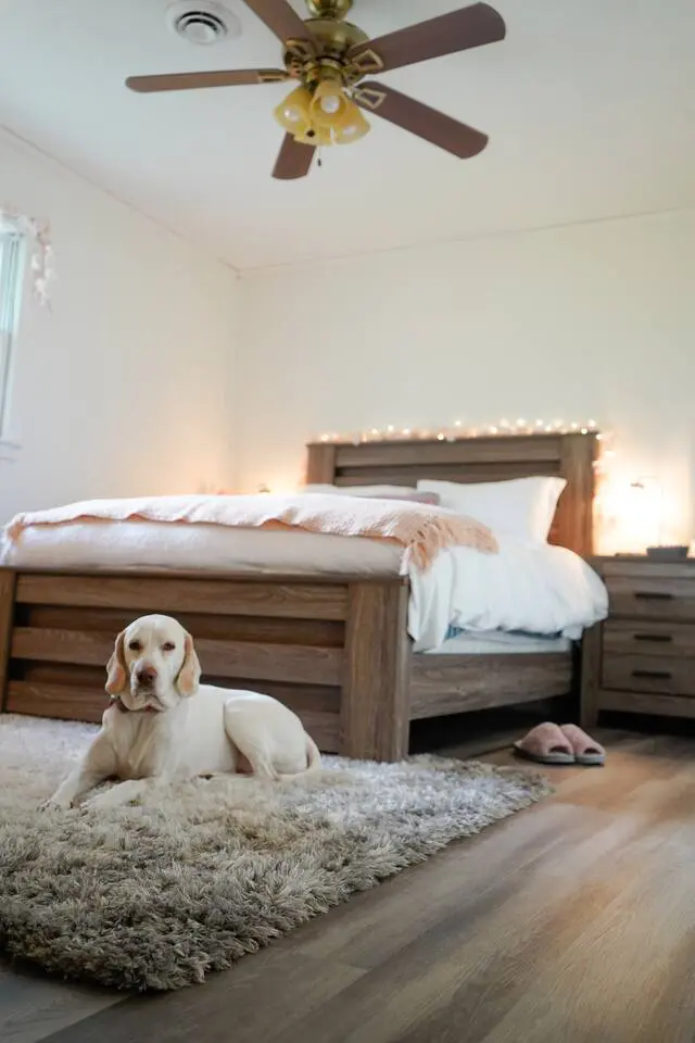 5b9481cd 1ea4 4855 8bd8 e769089db2f0.jpg