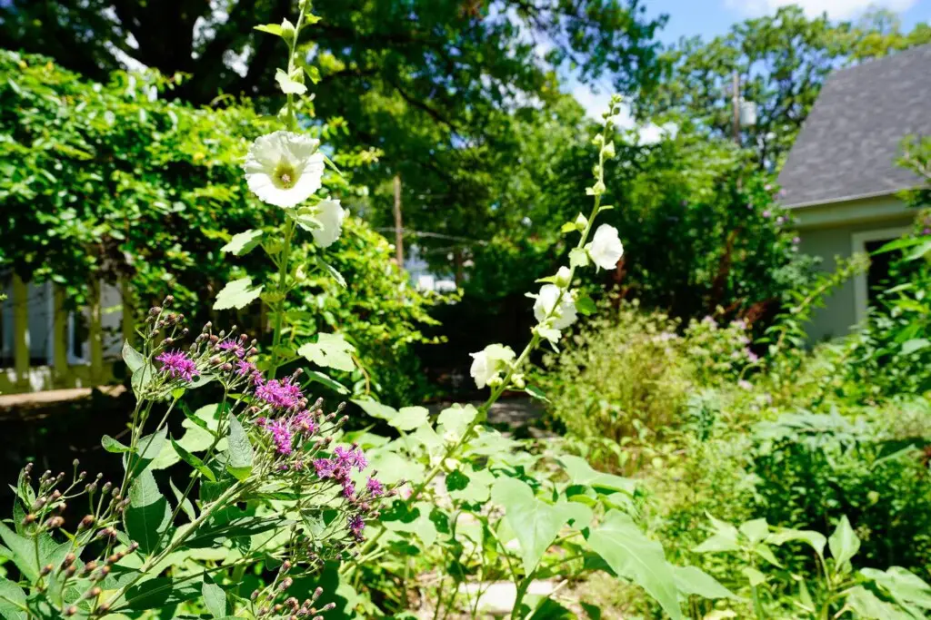 6dc0bdb3 2182 41c7 9f4a ee37184c0513.jpg