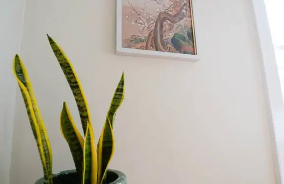 7d4b1cd2 8b7f 4766 8f65 59c4eb4ccfab.jpg