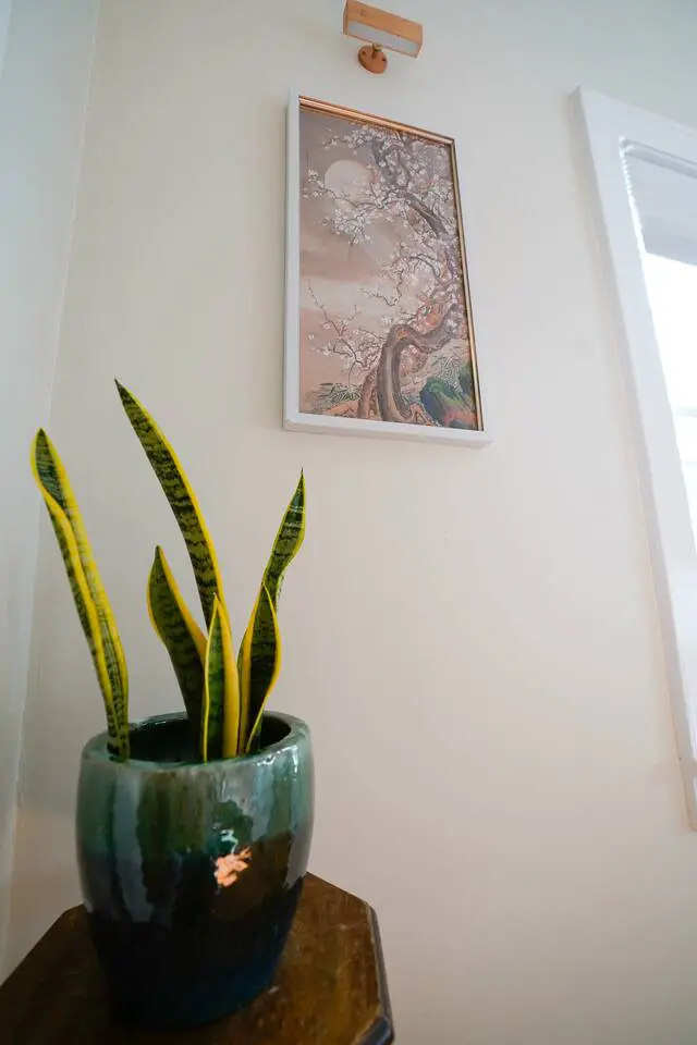 7d4b1cd2 8b7f 4766 8f65 59c4eb4ccfab.jpg