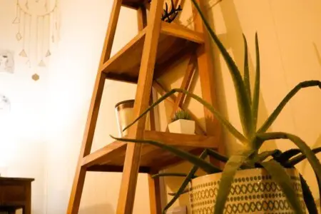 7d970c9a 6e54 41a3 b14c 3d88b2fb7e80.jpg