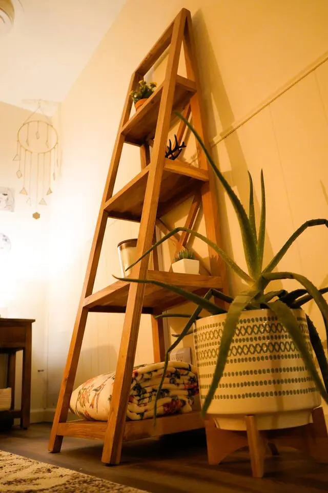 7d970c9a 6e54 41a3 b14c 3d88b2fb7e80.jpg