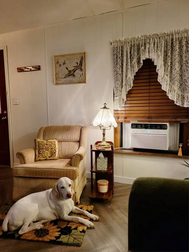 82edb15c ce19 4582 bc14 631e6fe57093.jpg