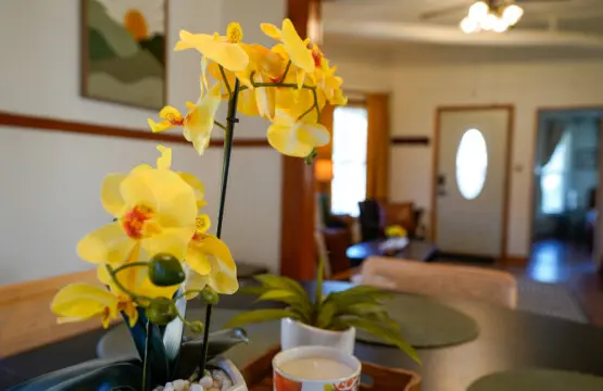 886e88cb 55a6 41de a0fd 1da39c3374ee.jpg