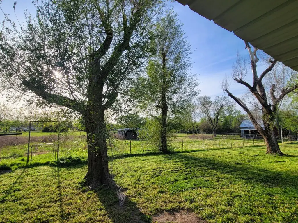 951b279d 2514 4c22 b33e b764334d15d7.jpg