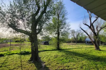 951b279d 2514 4c22 b33e b764334d15d7.jpg