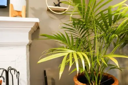 a7a5c1ed 0264 4d67 bf2e a8afdc33d46b.jpg