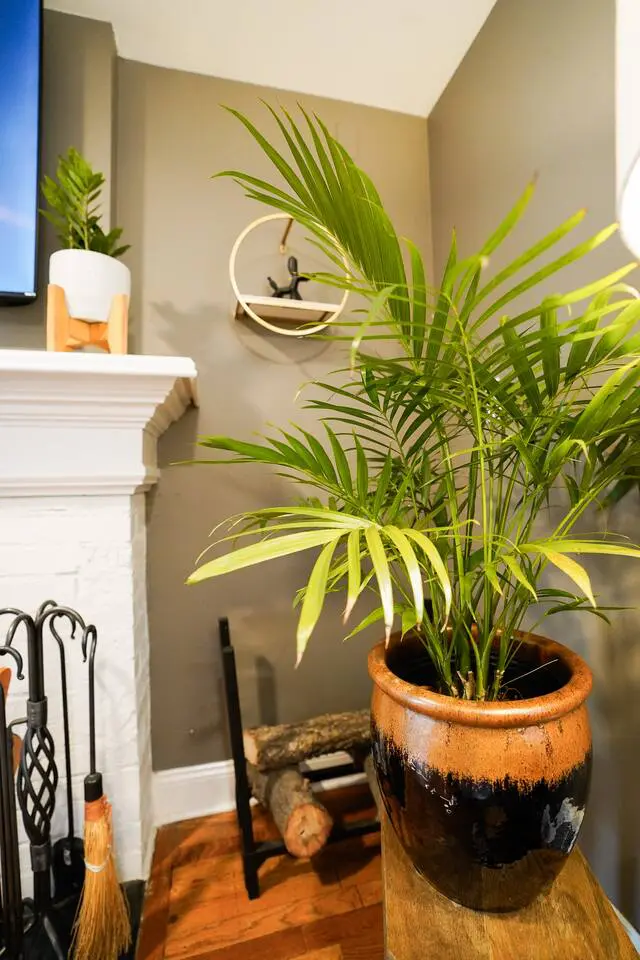 a7a5c1ed 0264 4d67 bf2e a8afdc33d46b.jpg