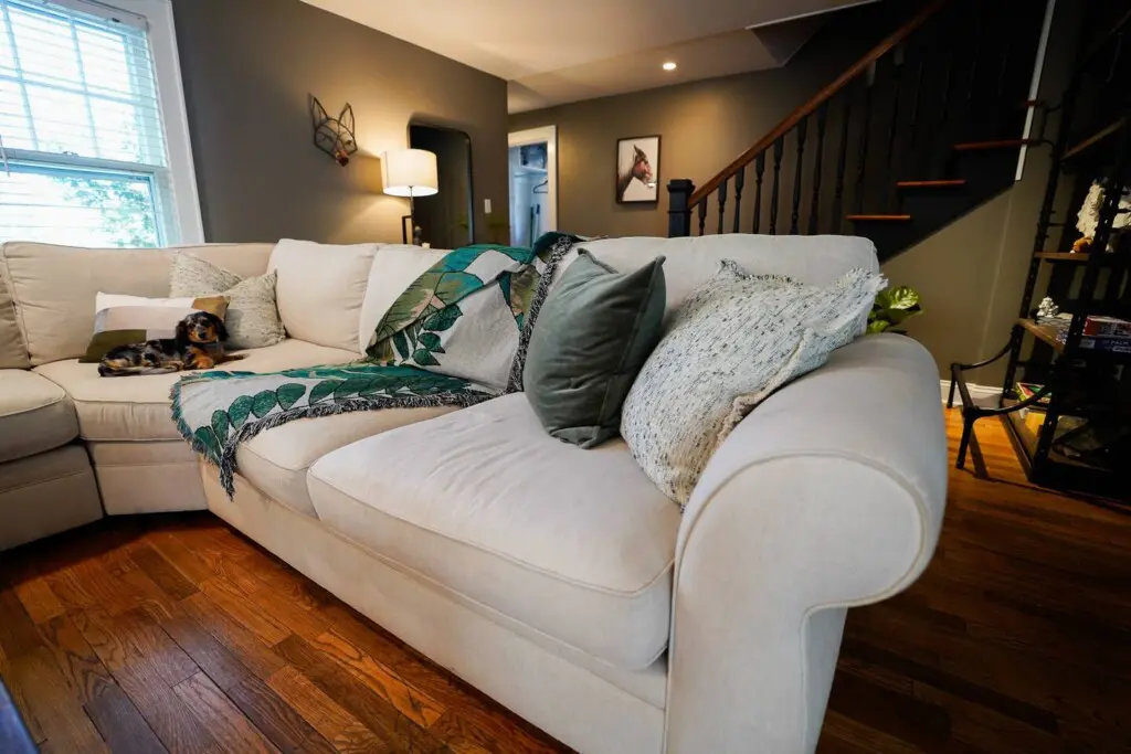 a8aa6cee 3cfc 48aa 9532 0bfacbd8c230.jpg