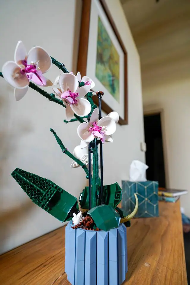 b3d8b06b eaf3 4538 b0b7 20beede56ada.jpg