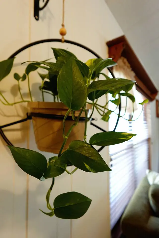 cf07138e 7f0b 45b0 af73 f4b738cc36a5.jpg