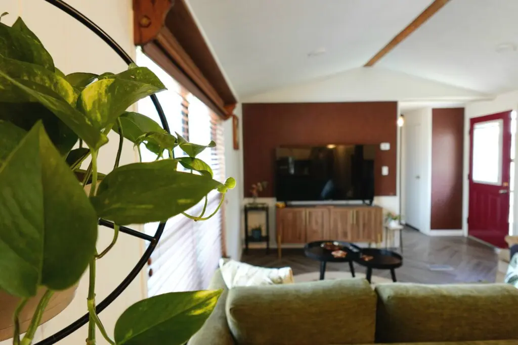 f00d1d7a 15cd 41fd bab2 0c5fe53d22db.jpg