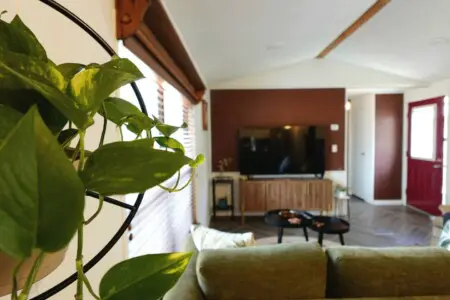 f00d1d7a 15cd 41fd bab2 0c5fe53d22db.jpg