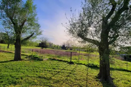 f82d52ad 2fd8 47d2 807f 7a1b544e7eb8.jpg