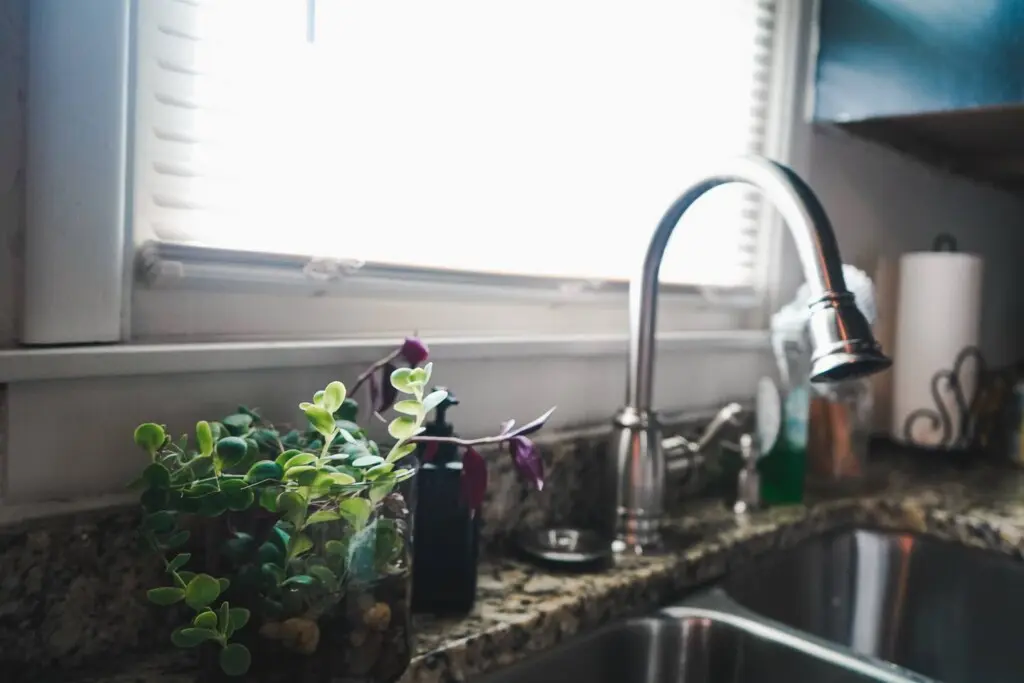 fe908237 87e8 40a1 a869 2457c2b8b7ef.jpg