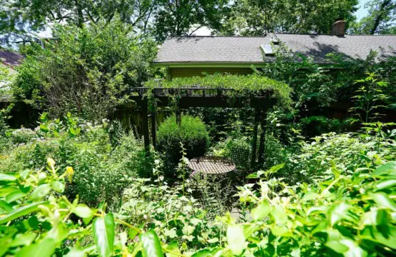 25f9b621 589b 4f2d b8d6 16b25f98fa34.jpg