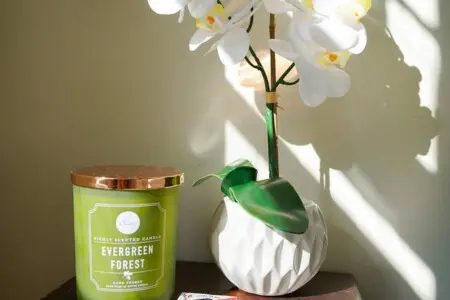 2eb03ae6 7a20 45d0 baf1 eca361868308.jpg