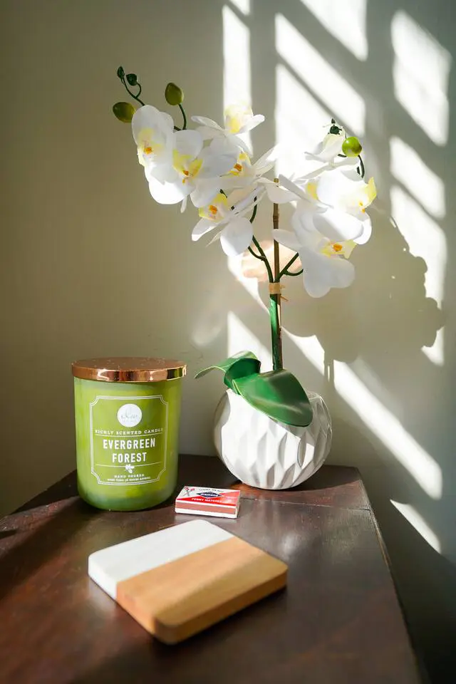 2eb03ae6 7a20 45d0 baf1 eca361868308.jpg