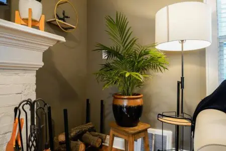 7ba93673 72fd 4da0 b9a2 efa056412c8a.jpg