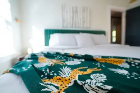 b270d19b e6df 4ada 85ae 246fe99549dd.jpg