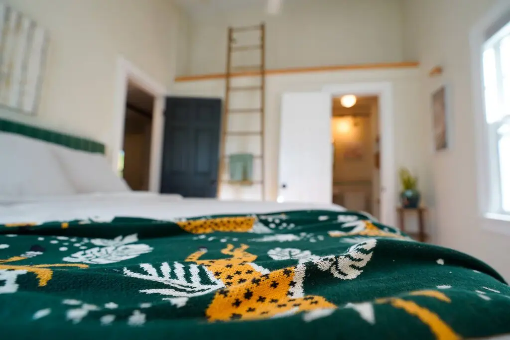 babff70d cc77 44d8 a4da e73596797c87.jpg