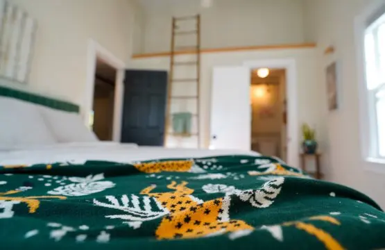 babff70d cc77 44d8 a4da e73596797c87.jpg