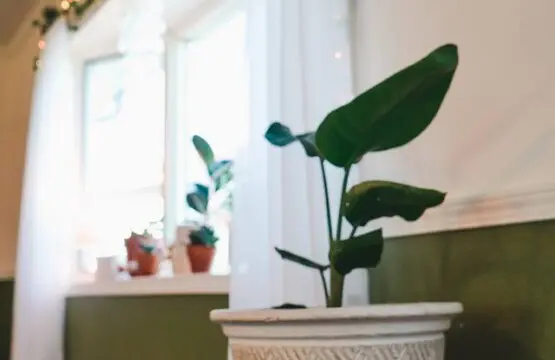 42dd8571 f515 406a bbcc 72a578780ea4.jpg