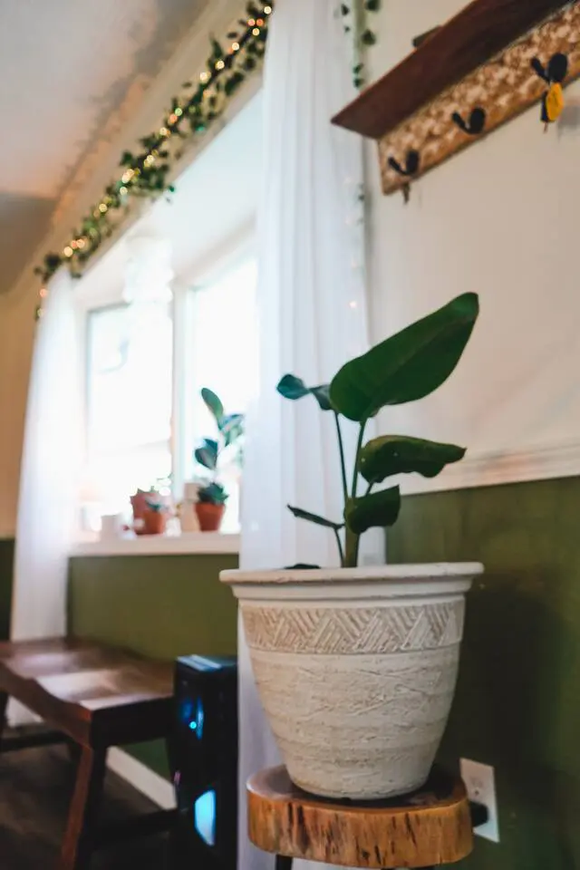 42dd8571 f515 406a bbcc 72a578780ea4.jpg