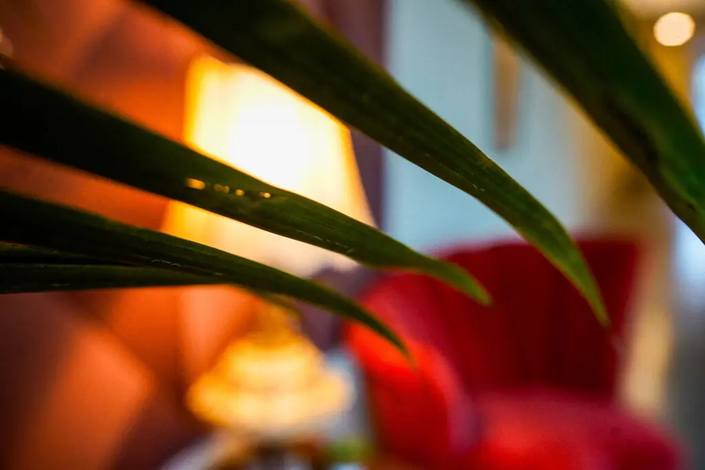 4ef5f1cd f9f5 45a3 8ecf 6a1556be1a52.jpg