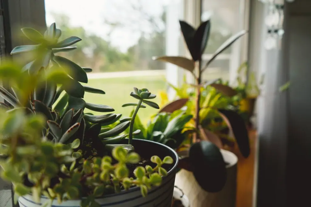 91b6c200 60de 4690 b52b 09b1ddd75681.jpg