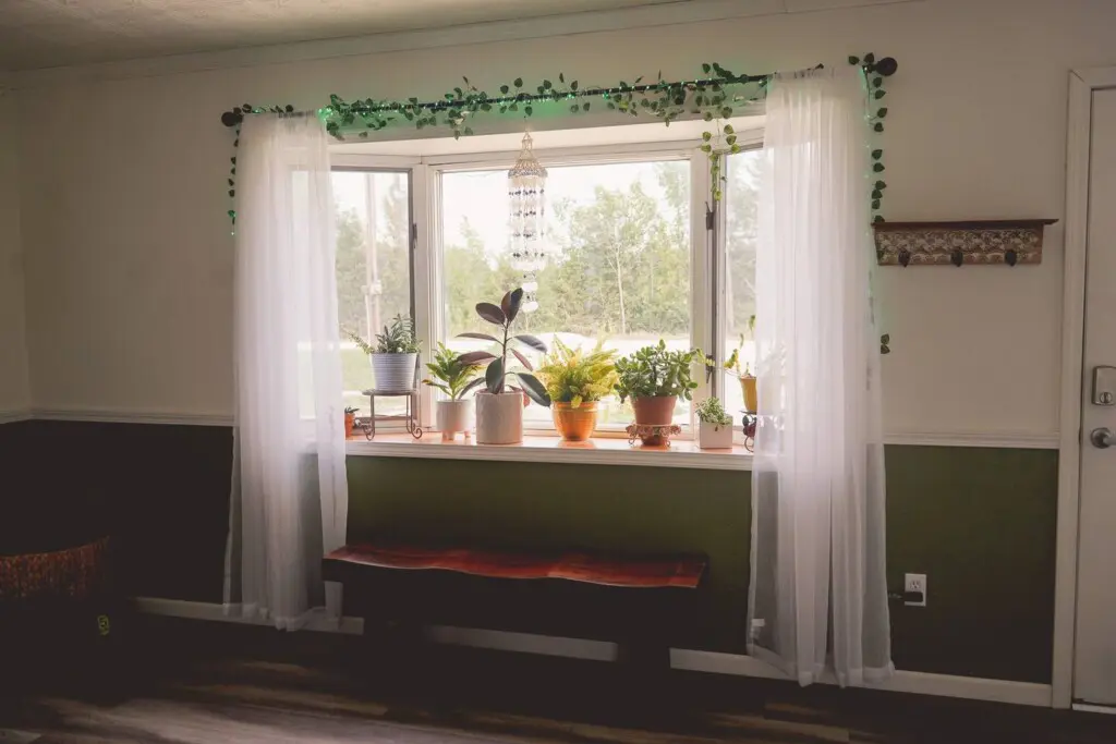 9e900433 e26b 4378 90df 825e1f24427e.jpg