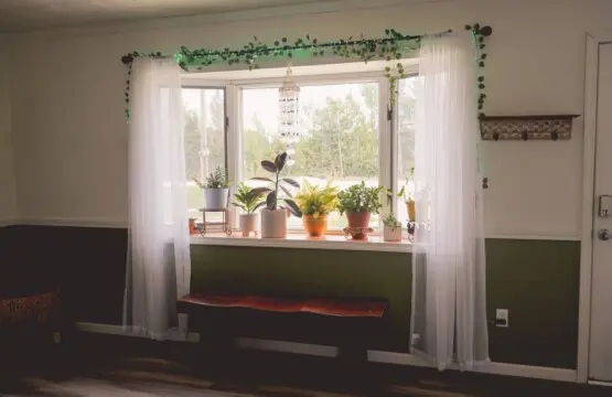 9e900433 e26b 4378 90df 825e1f24427e.jpg